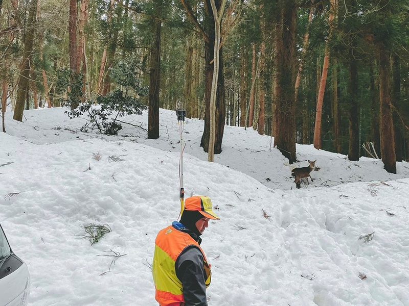 A hunting experience